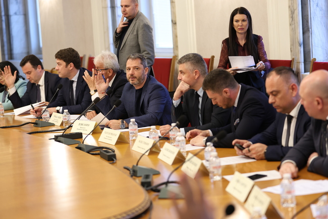Parliamentary Committee on Energy Postpones Partial Liberalization of Household Electricity Market by 1 Year