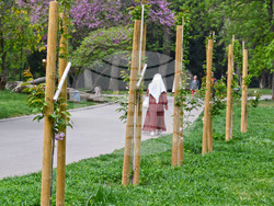 Снимка: Община Варна