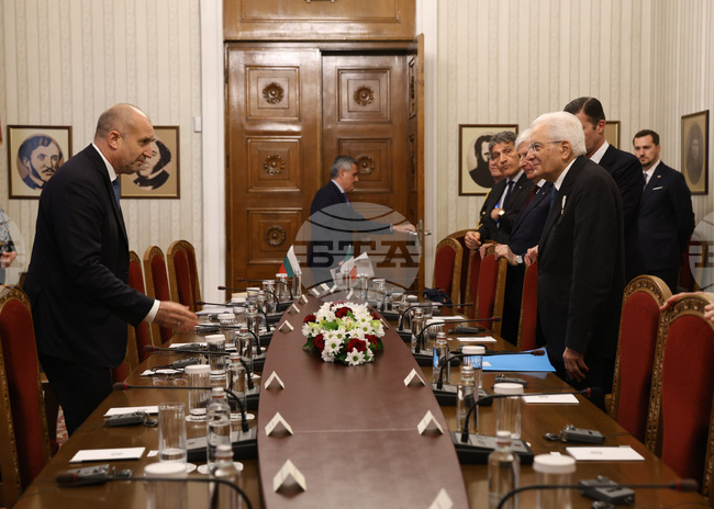 Румен Радев - Серджо Матарела - пленарни разговори