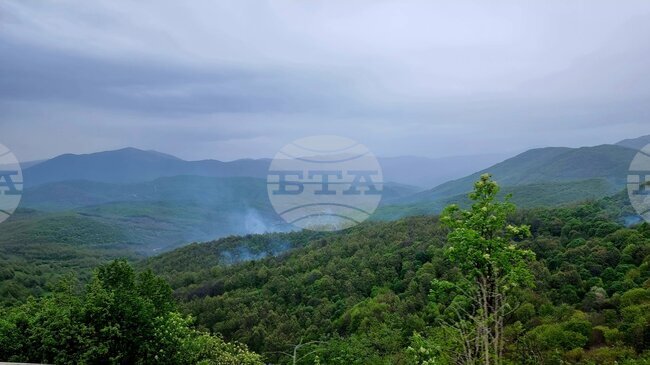 Ban on Movement in Forests in North Macedonia Extended Due to Ongoing Wildfire Risk