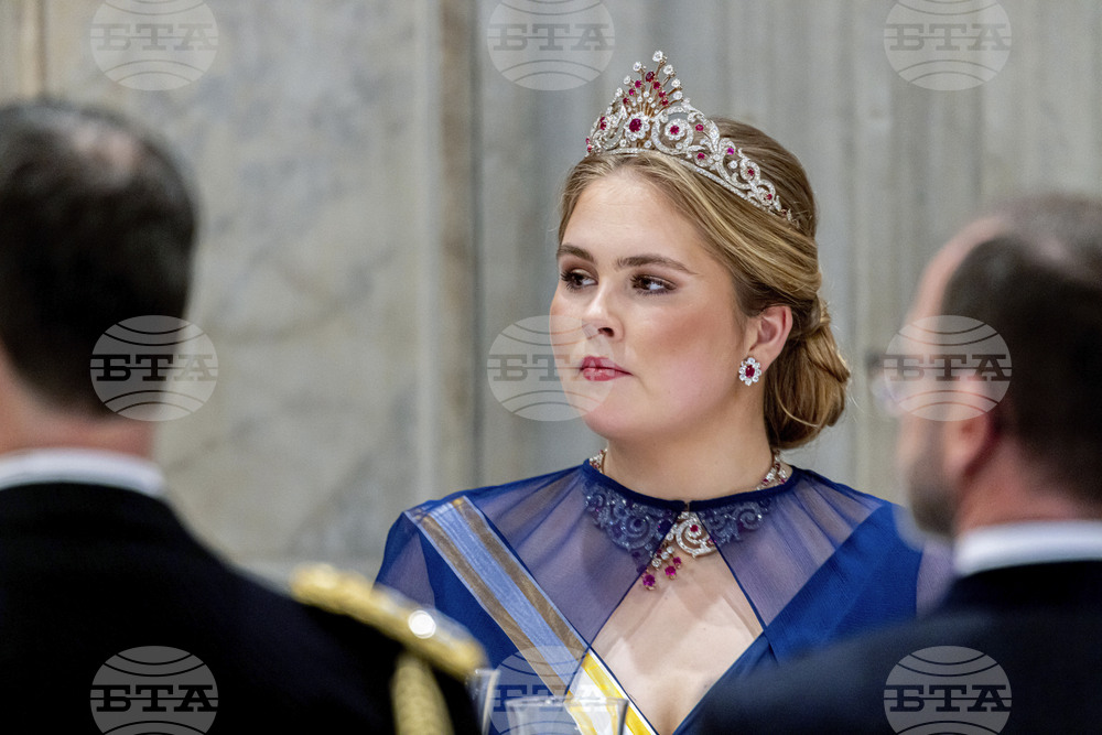 АНП: Нидерландската принцеса Амалия благодари на Мадрид за подкрепата в период, в който бе изправена пред заплахи
