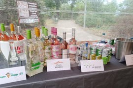 Казанлък - Празници в Долината на тракийските царе