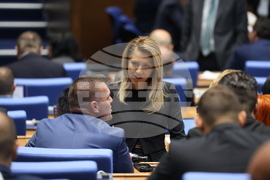 Парламент - заседание