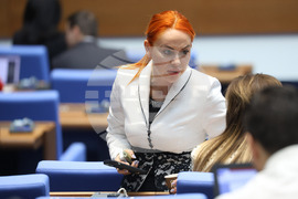 Парламент - заседание