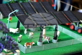 Кариерно изложение и форум