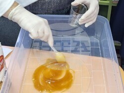 Снимка: Община Асеновград