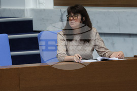 Парламент - заседание