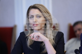 Народно събрание - Временна комисия Агенция „Митници“