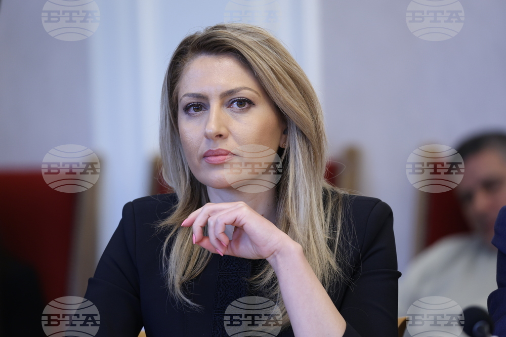 Народно събрание - Временна комисия Агенция „Митници“