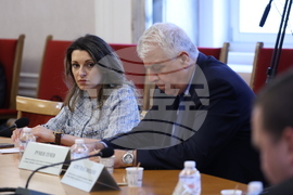 Народно събрание - Временна комисия Агенция „Митници“