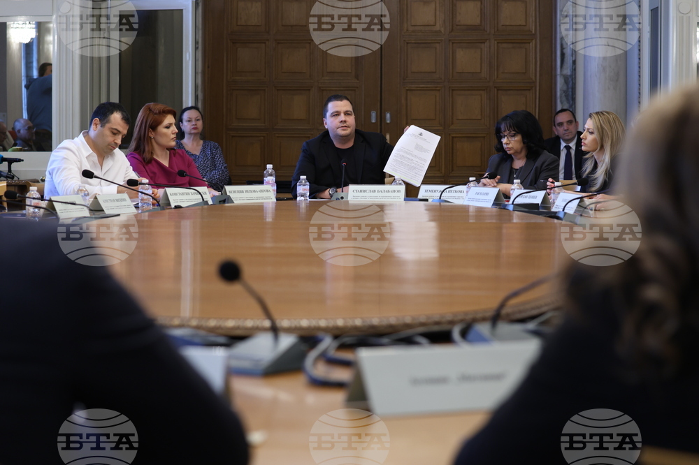 Народно събрание - Временна комисия Агенция „Митници“