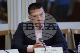 Народно събрание - Временна комисия Агенция „Митници“