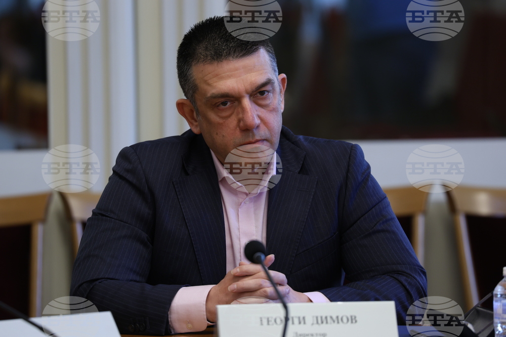 Народно събрание - Временна комисия Агенция „Митници“