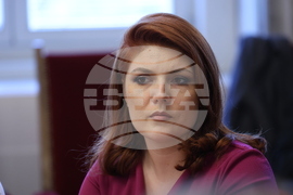 Народно събрание - Временна комисия Агенция „Митници“