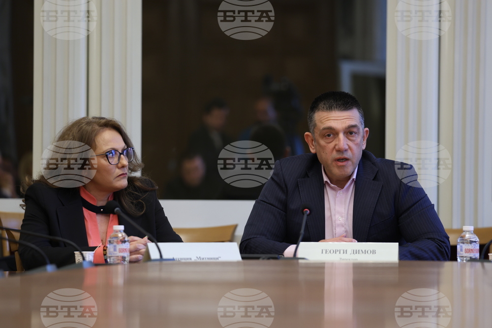 Народно събрание - Временна комисия Агенция „Митници“