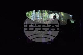 Италия - Венецианско биенале за изкуство - германски павилион