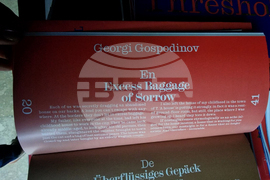 Италия - Венецианско биенале за изкуство - германски павилион