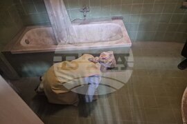 Италия - Венецианско биенале за изкуство - германски павилион