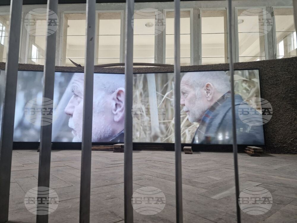 Италия - Венецианско биенале за изкуство - германски павилион