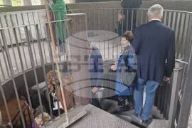 Италия - Венецианско биенале за изкуство - германски павилион