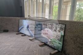 Италия - Венецианско биенале за изкуство - германски павилион