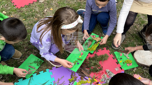 "Седмица на гората" ще бъде отбелязана в Троян със залесяване, почистване и занимания по горска педагогика