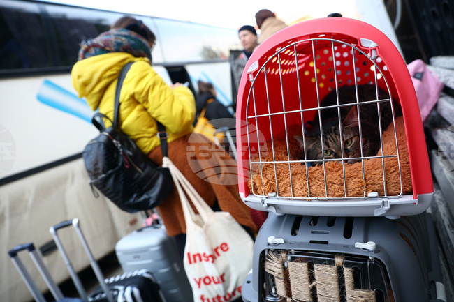 Украйна - автобус - евакуация