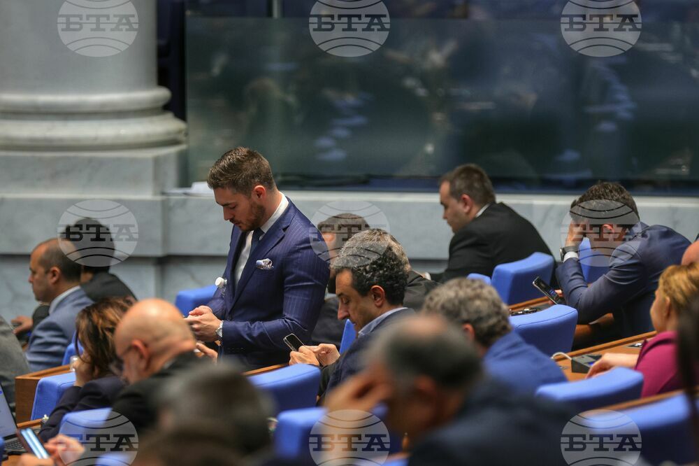 Парламентът ще разгледа на второ четене отлагането на либерализацията на пазара на ток за битовите клиенти