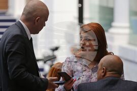 Парламент - заседание