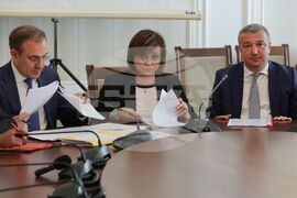 БСП - "Боташ" - доклад