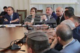 БСП - "Боташ" - доклад