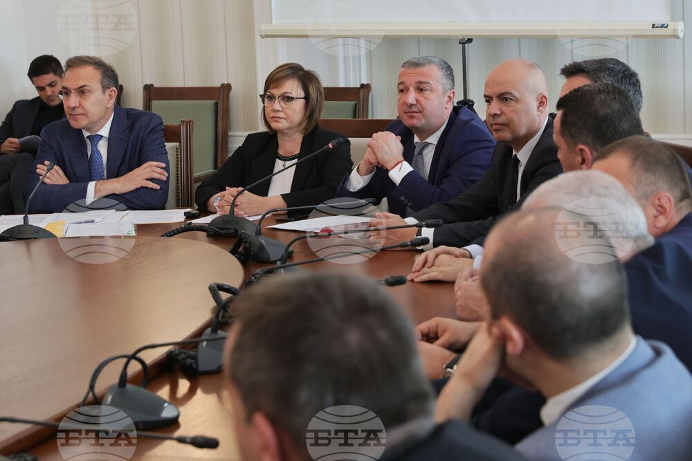 БСП - "Боташ" - доклад