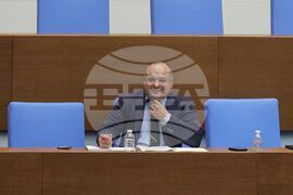 Парламент - парламентарен контрол - Петър Димитров