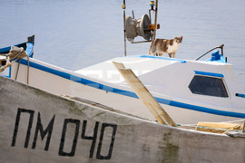 Поморие - пристанище - лодки