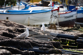Поморие - пристанище - лодки