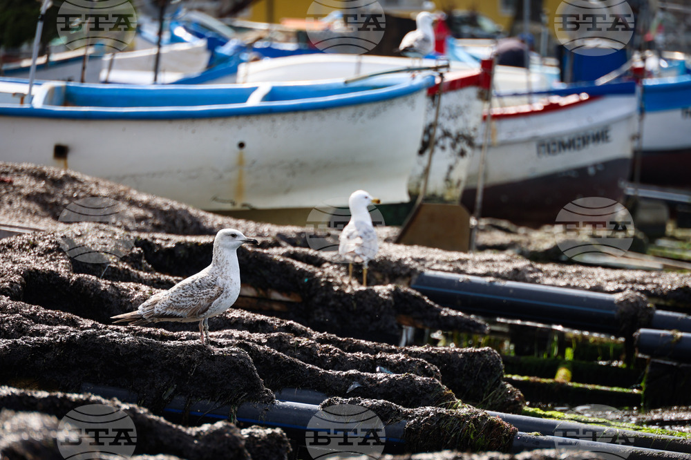 Поморие - пристанище - лодки