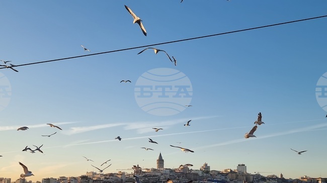 Regional Cooperation and Peace Feature on Agenda of Second Meeting of Balkan Peace Platform