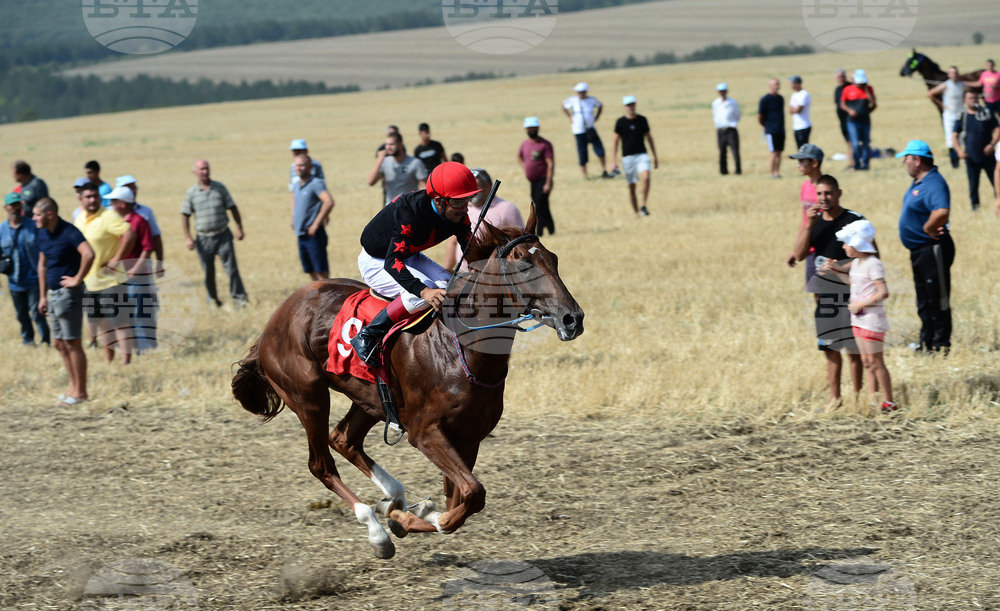 Село Самуил - конни надбягвания - кушии