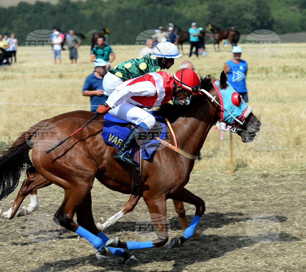 Село Самуил - конни надбягвания - кушии