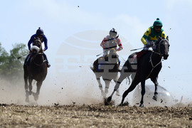 Село Самуил - конни надбягвания - кушии