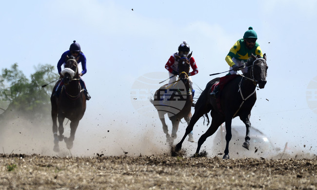 Село Самуил - конни надбягвания - кушии