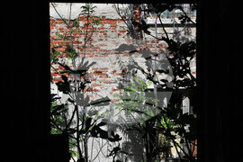 Созопол - Велислав Минеков -  остров - инспекция