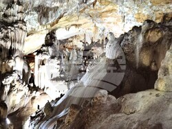 Снимка: Община Асеновград