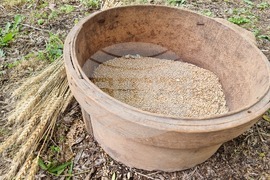 Село Симеоново - „За хляба наш“ - празник