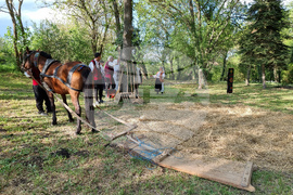 Село Симеоново - „За хляба наш“ - празник
