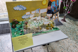 Добрич - Науката на живо - изложение