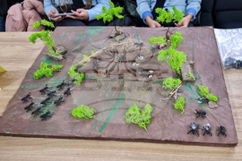 Добрич - Науката на живо - изложение