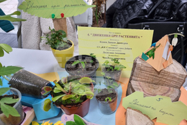 Добрич - Науката на живо - изложение