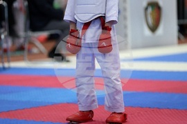 Международен турнир Sofia Karate Open 2024