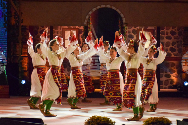 Група от около 50 души от Калояново вече 33 години е сред публиката на фестивала "Пирин фолк" 